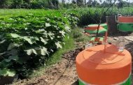 محافظة الشرقية تتصدر قائمة المحافظات الأكثر انتاج للغاز الحيوي باجمالي 366,7 ألف متر مكعبًا يوميًا