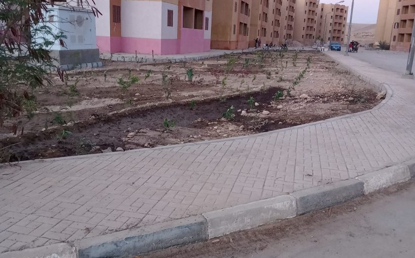 تسليم عقود وحدات إسكان الشباب بمدينة الطود غدًا