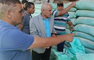 ضبط 118 شيكارة دقيق مخالف وإعدام 765 كيلو لحوم فاسدة في حملات تموينية بالمنيا