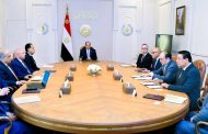السيسي يوجه بضرورة تعظيم فرص التعاون مع شركة سكاتك ومجموعة صنجرو