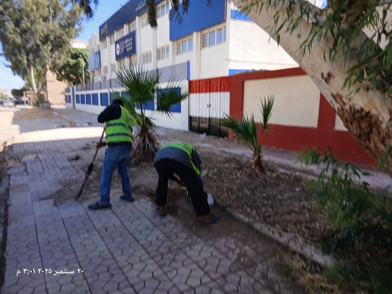 رئيس مدينة بورفؤاد يتابع حملات النظافة بمحيط المدارس استعدادًا للعام الدراسي الجديد