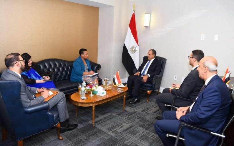 وزير الخارجية يلتقي المديرة التنفيذية للآلية الأفريقية لمراجعة النظراء