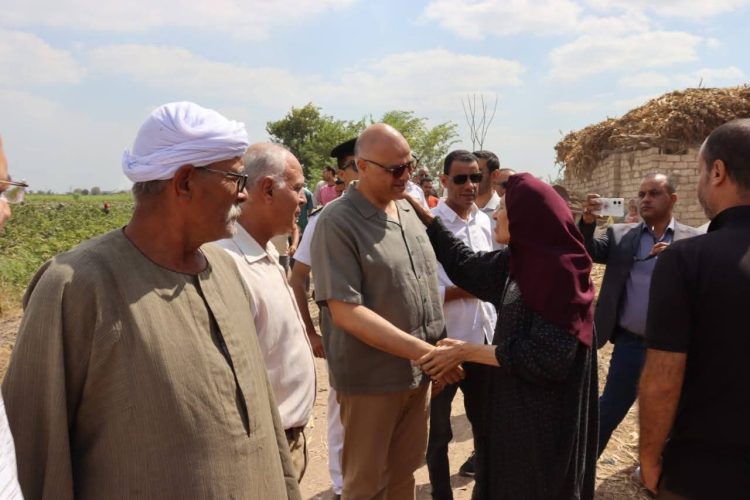 محافظ القليوبية يتابع حصاد الذهب الأبيض ويدعم المزارعين بالمزاد