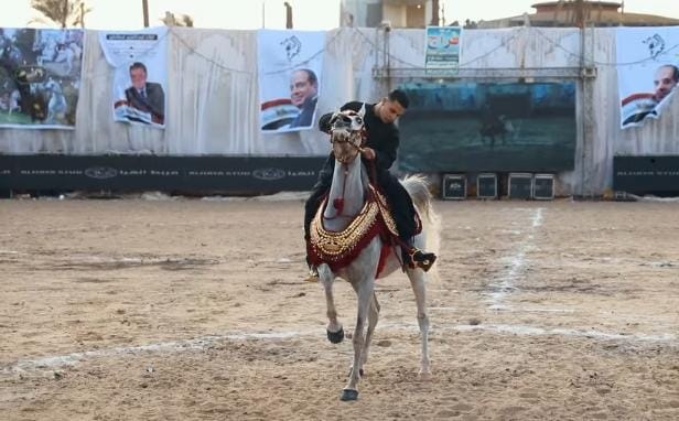 فتح باب التسجيل لبطولتي 