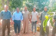 زراعة الإسماعيلية تكثف حملاتها لمكافحة ذبابة الفاكهة والخوخ في بساتين المانجو والموالح