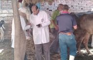 مديرية الطب البيطري بدمياط تواصل حملات التحصين والرقابة