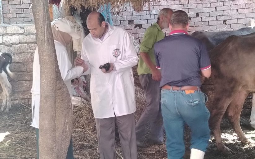 مديرية الطب البيطري بدمياط تواصل حملات التحصين والرقابة