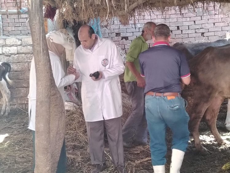 مديرية الطب البيطري بدمياط تواصل حملات التحصين والرقابة