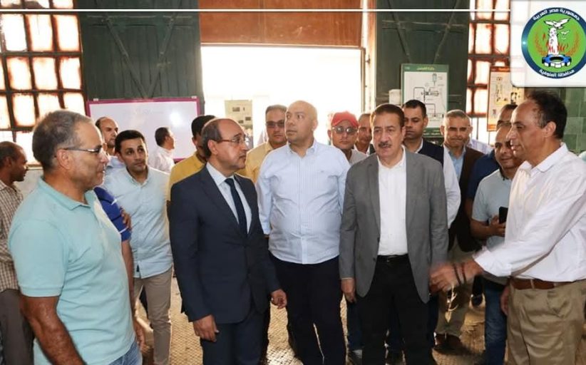 محافظ المنوفية يتابع استعدادات المدارس للعام الدراسي الجديد بالكامل