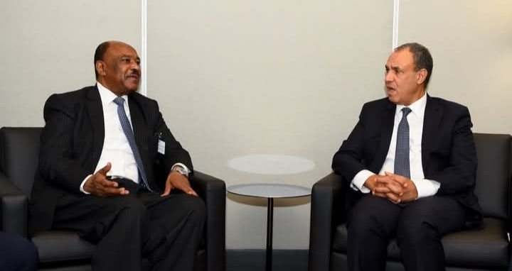 مصر والسودان يؤكدان الشراكة الإستراتيجية ورفض الإجراءات الأحادية في نهر النيل
