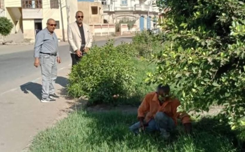 الوحدة المحلية بدمياط تطلق حملات مكبرة للارتقاء بمحيط المدارس بميت أبو غالب