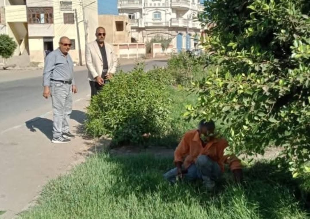 الوحدة المحلية بدمياط تطلق حملات مكبرة للارتقاء بمحيط المدارس بميت أبو غالب