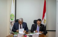 الريف المصري الجديد و