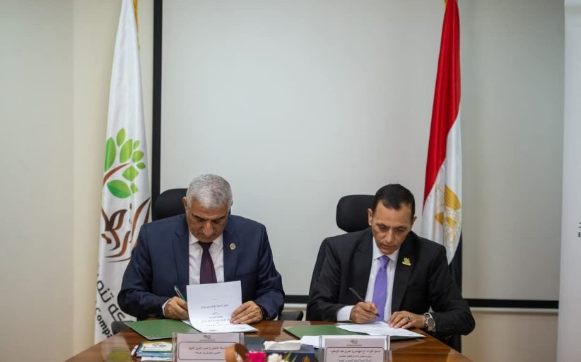 الريف المصري الجديد و