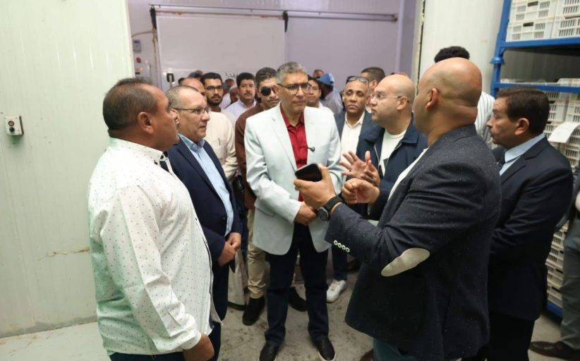 محافظ الجيزة يتابع الاستعدادات لانطلاق المهرجان الدولي الثامن للتمور المصرية بالواحات البحرية