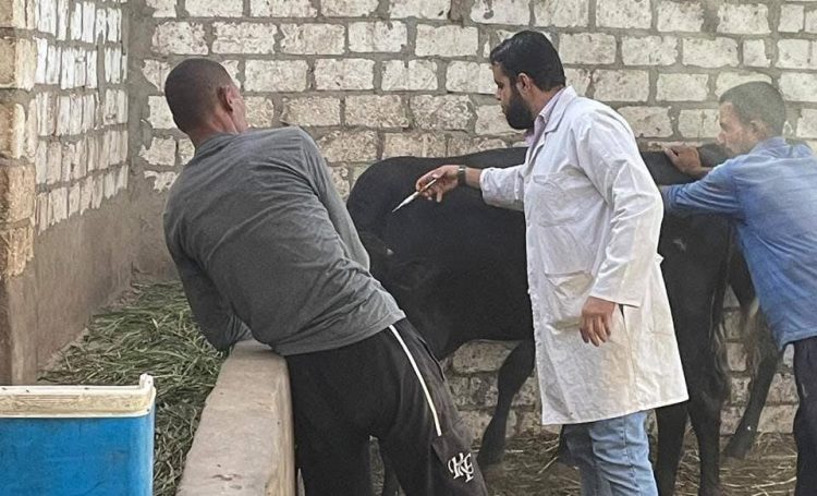 انطلاق الحملة القومية الثالثة للتحصين ضد الحمى القلاعية وحمى الوادي المتصدع بالجيزة