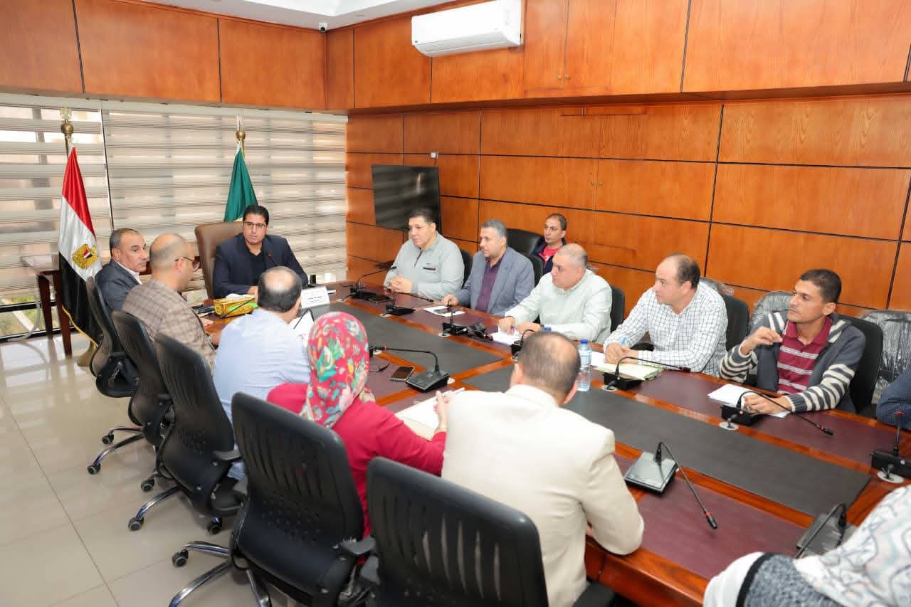 نائب محافظ الدقهلية يشرف على نقل وتشغيل شبكة الكهرباء الصناعية بجمصة