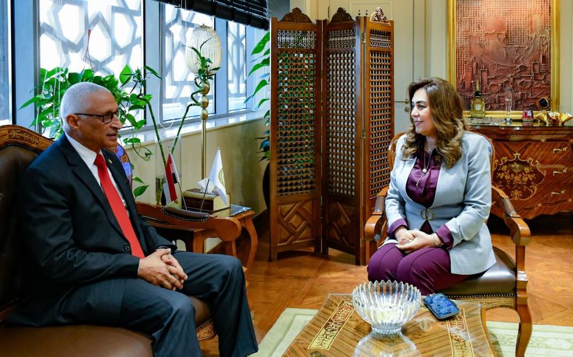 وزيرة التنمية تبحث مع محافظ شمال سيناء الموقف التنفيذي للمشروعات التنموية والخدمية