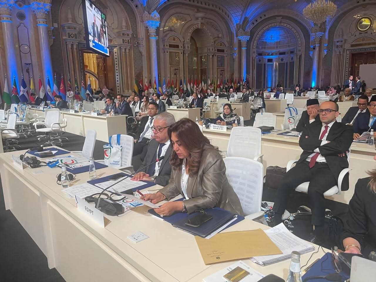 القائم بأعمال وزيرة البيئة تلقي بيان مصر في مؤتمر منظمة اليونيدو بالرياض