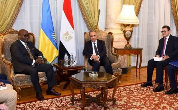 مباحثات مصرية أفريقية لتعزيز جهود السلم والتنمية بالقارة