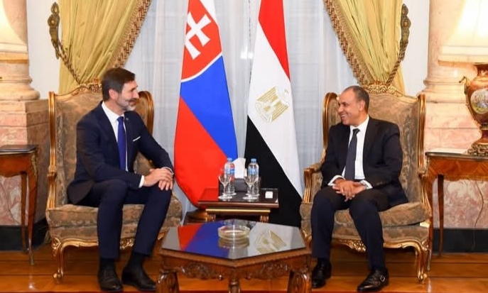 وزير الخارجية يبحث مع نظيره السلوفاكي تطوير التعاون الثنائي
