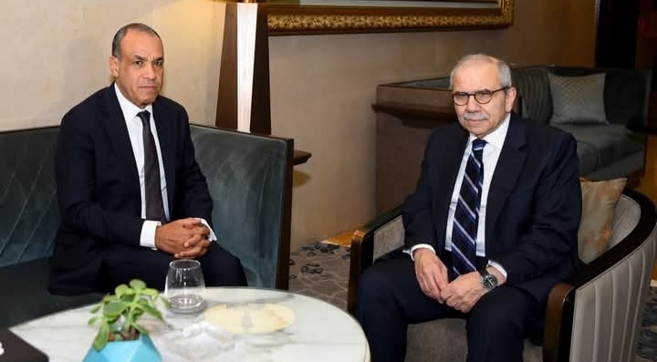 تعزيز التنسيق المصري اللبناني خلال مباحثات بالقاهرة