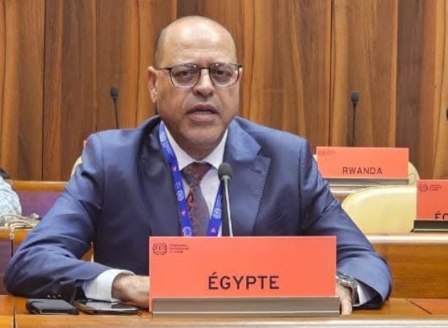 وزير العمل يمثل مصر في اجتماعات مجلس إدارة منظمة العمل الدولية بجنيف