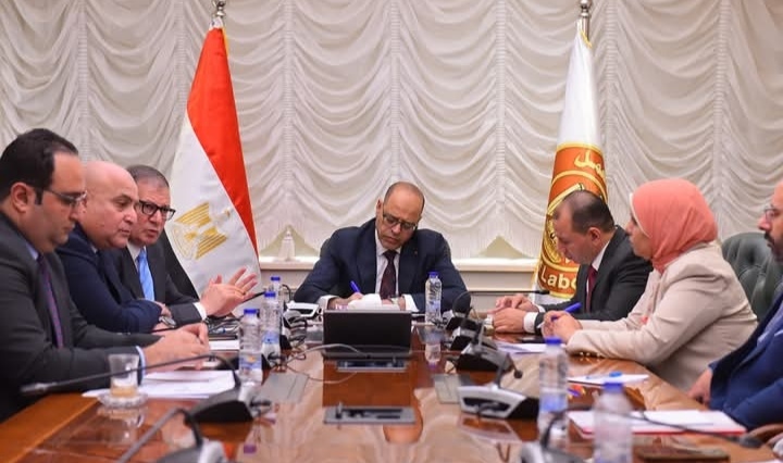 وزير العمل والهيئة القومية للتأمينات يطلقان خطة لتعزيز الحماية الاجتماعية وتسهيل الخدمات للمواطنين