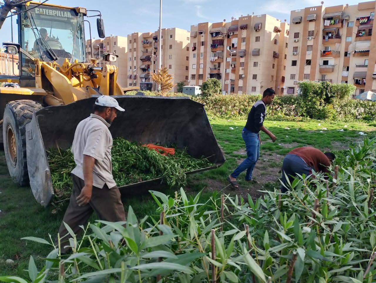 محافظ بورسعيد يشدد على رفع كفاءة منظومة النظافة وتحسين المظهر الحضاري للشوارع