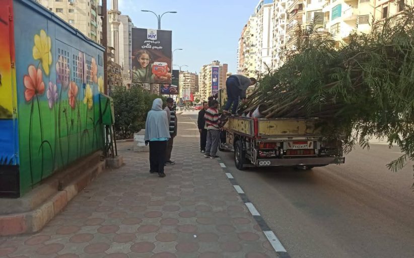 محافظ الدقهلية يؤكد استكمال خطة زراعة الأشجار من مبادرة 