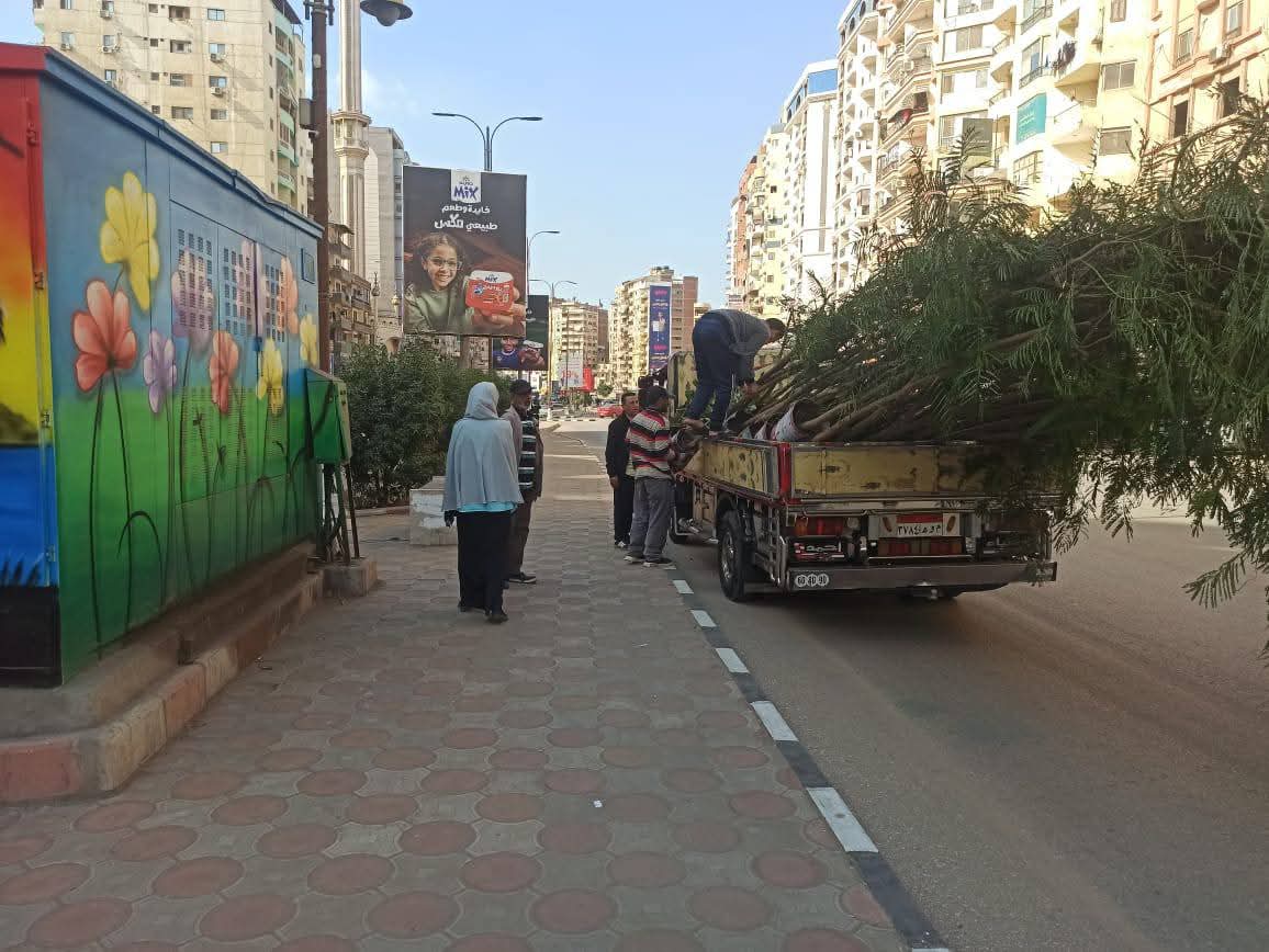 محافظ الدقهلية يؤكد استكمال خطة زراعة الأشجار من مبادرة 