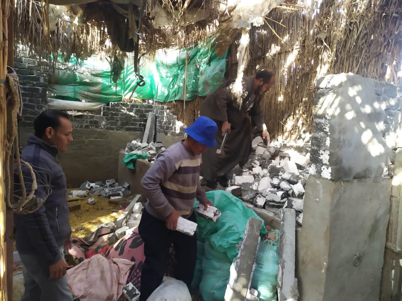 محافظة المنوفية تستمر في إزالة عدد من حالات التعدي علي الأراضي الزراعية 