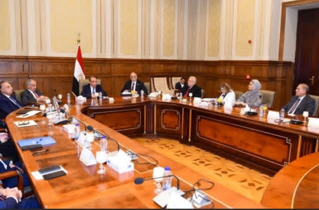 وزير الخارجية يشدد على التكامل بين الحكومة والبرلمان لتعزيز حقوق الإنسان