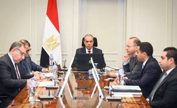 وزير الخارجية يعرض الرؤية المصرية لدعم السلام والتنمية في شرق الكونجو الديمقراطية