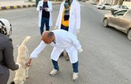 بيطري المنيا يواصل حملات تحصين وتعقيم الكلاب الحرة ضمن استراتيجية «مصر خالية من السعار 2030»