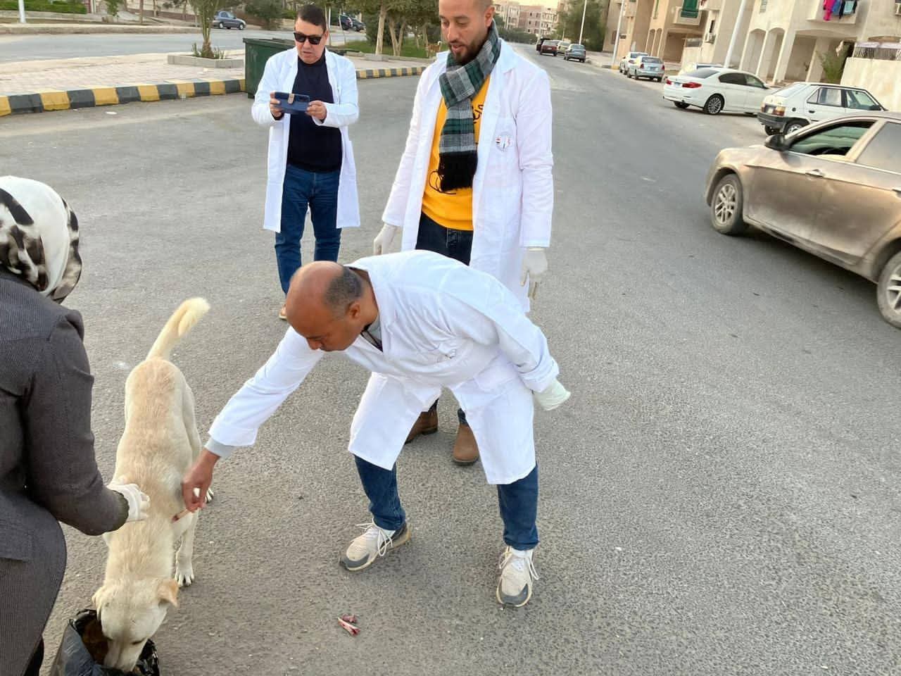 بيطري المنيا يواصل حملات تحصين وتعقيم الكلاب الحرة ضمن استراتيجية «مصر خالية من السعار 2030»
