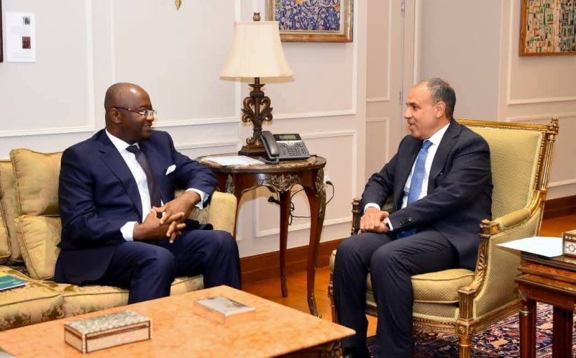 وزير الخارجية يبحث مع رئيس البنك الأفريقي للتصدير والاستيراد تنويع أطر التعاون المشترك