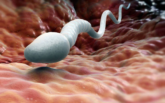 كشف علمي واعد.. آلية 