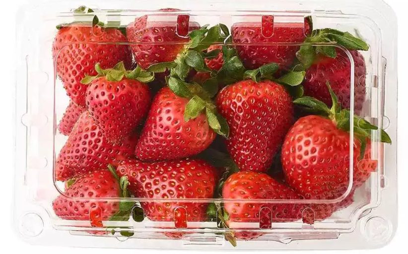 وزير الزراعة يعلن فتح السوق الأوزبكي أمام صادرات مصر من الفراولة الطازجة