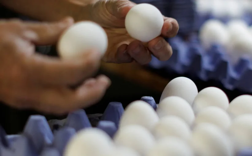 أطعمة طبيعية تغني عن مكملات فيتامين ب دليلك للحصول على الطاقة والصحة