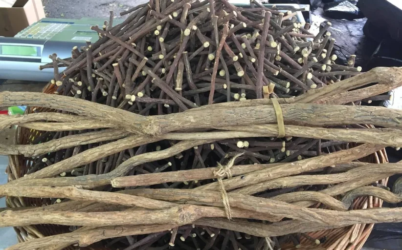 عرق السوس له فوائد مذهلة لصحة أفضل