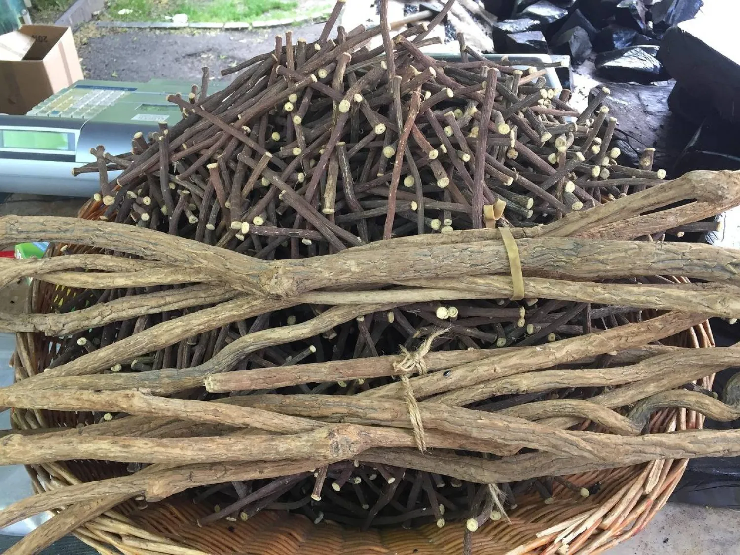 عرق السوس له فوائد مذهلة لصحة أفضل