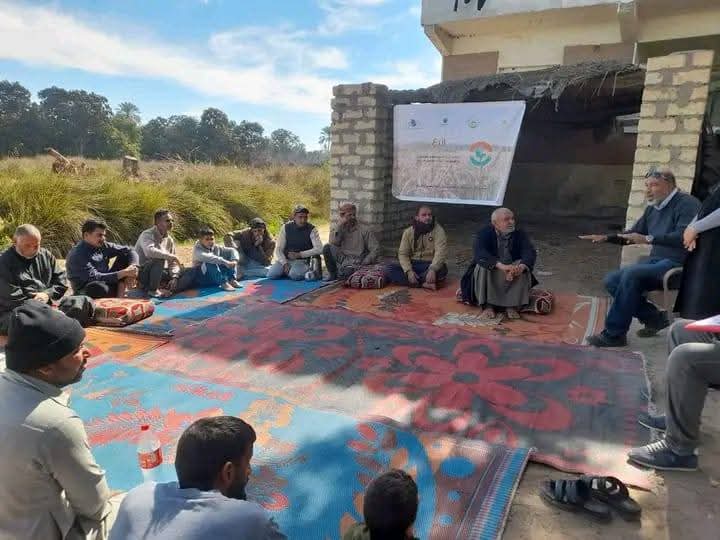 الزراعة بالإسماعيلية تنفذ مدرسة قمح حقلية لرفع إنتاجية صغار المزارعين المحليين