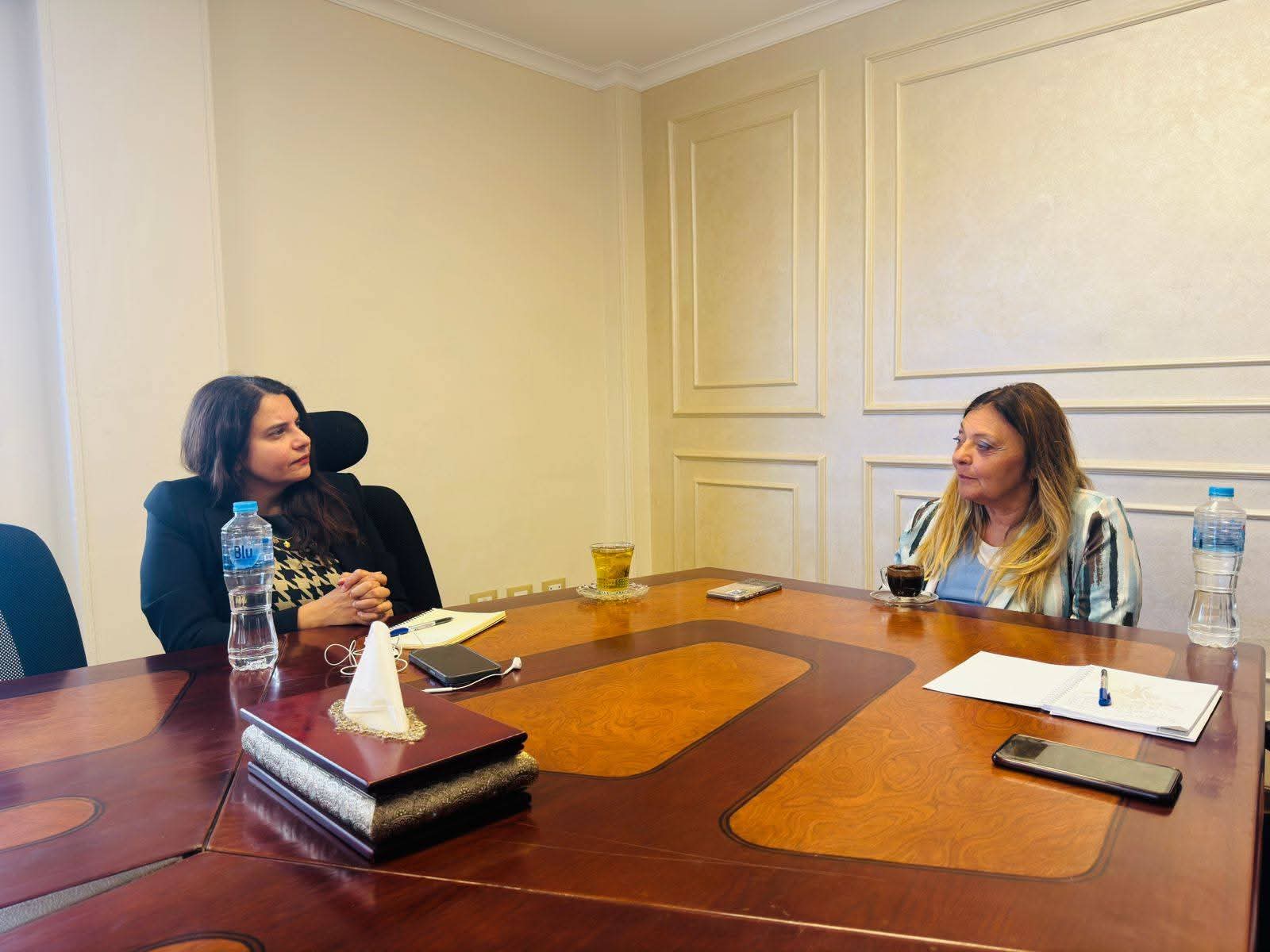 القومي للأشخاص ذوي الإعاقة يناقش مع وكيل لجنة العلاقات الخارجية بالنواب أبرز التحديات