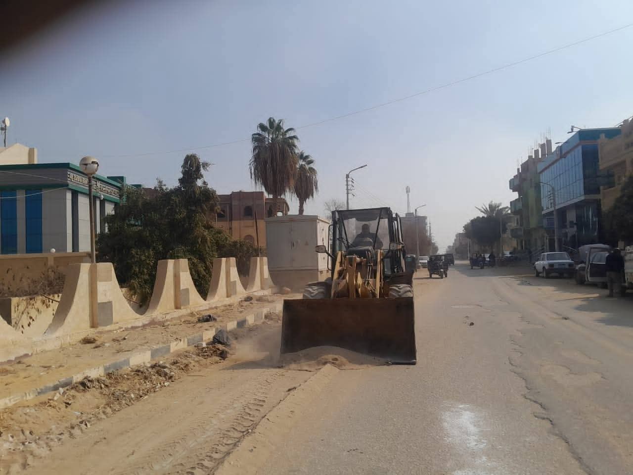 حملة بيئية في سنورس ترفع دواجن نافقة وتراجع تراخيص مزارع الدواجن