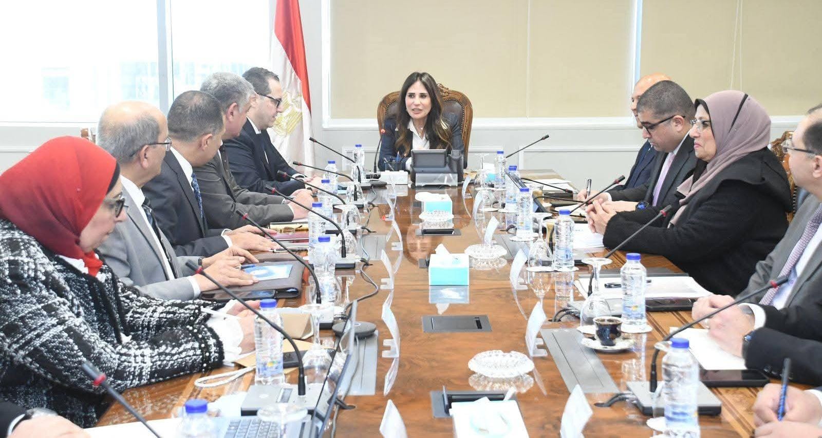 المنشاوي: مشروعات 