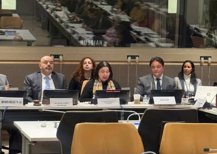 نائبة وزيرة التضامن الاجتماعي تشارك في فعاليات التنمية الاجتماعية بالأمم المتحدة بنيويورك