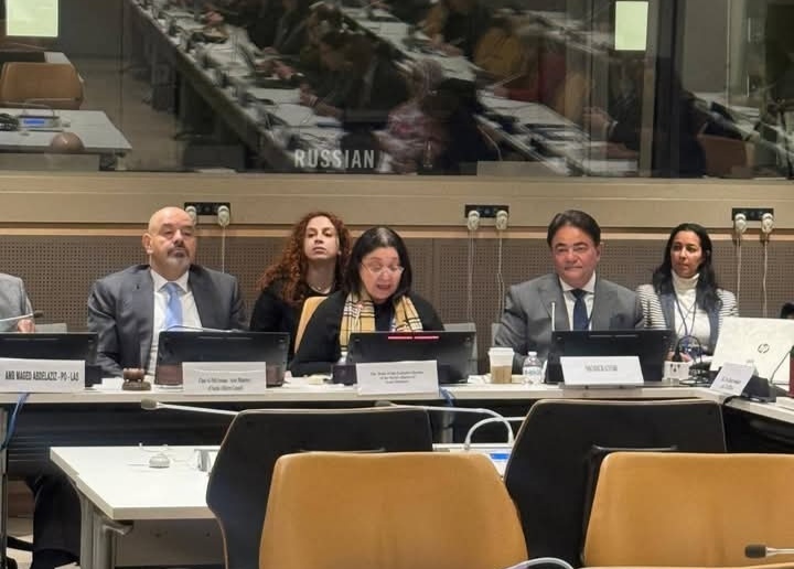 نائبة وزيرة التضامن الاجتماعي تشارك في فعاليات التنمية الاجتماعية بالأمم المتحدة بنيويورك