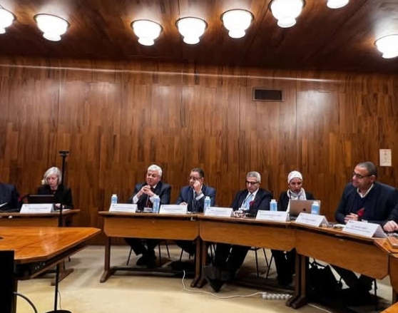 وزير التعليم العالي يبحث مع اليونسكو تعزيز الشراكة مع الجامعة الدولية للعلوم والفنون والتكنولوجيا