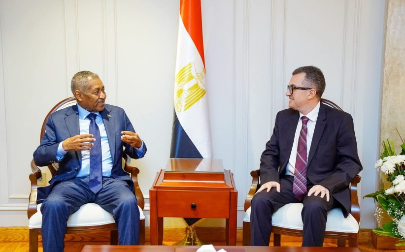 وزير التخطيط يبحث مع السفير السوداني آليات دعم إعادة الإعمار ونقل الخبرات المصرية